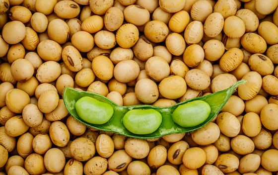 Edamame - 2