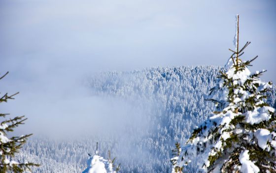Jahorina - 3