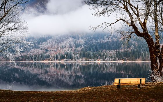 Bohinj - 7
