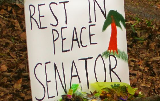 Senator tree