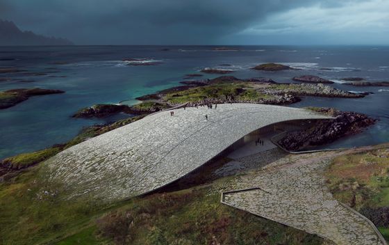 The Whale by Dorte Mandrup - 4