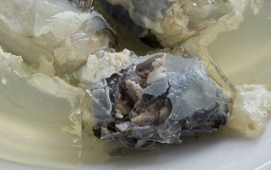 Jellied eels ili svojevrsna hladetina od jegulja