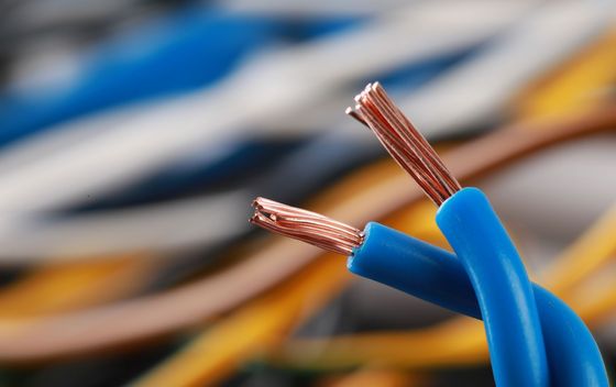 Kviz općeg znanja - 10