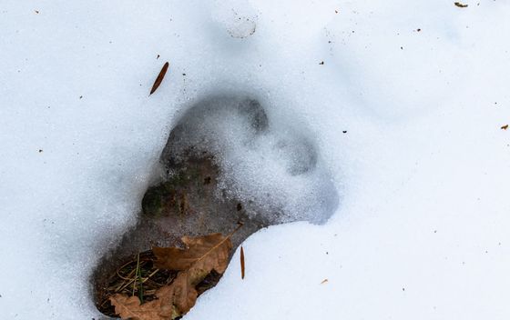 Kviz općeg znanja - 14