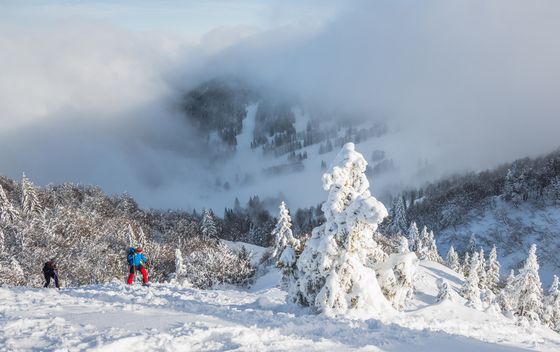 Soriška planina - 5
