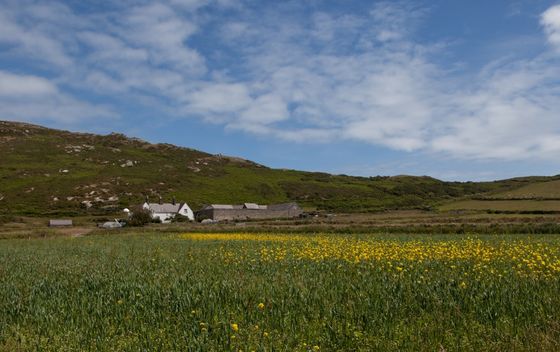 Otok Bardsey, Wales - 2