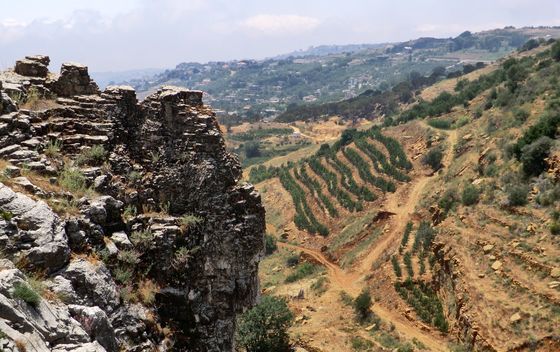 Libanon - 7