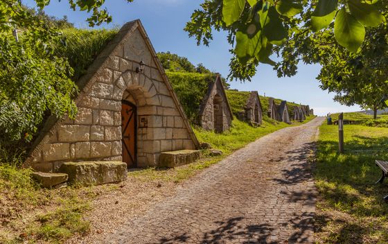 Sárospatak -  vinski podrumi