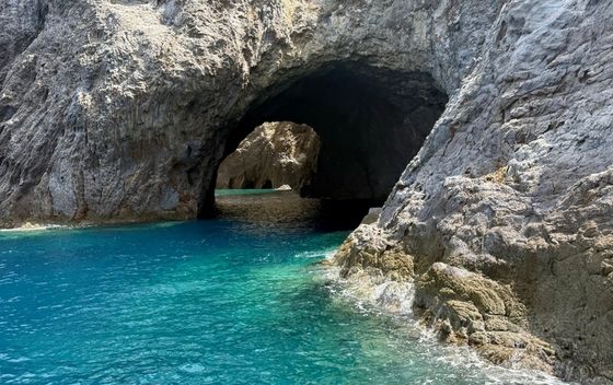 Palmarola - 3