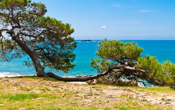 Poreč