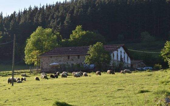 Asador Etxebarri - 8