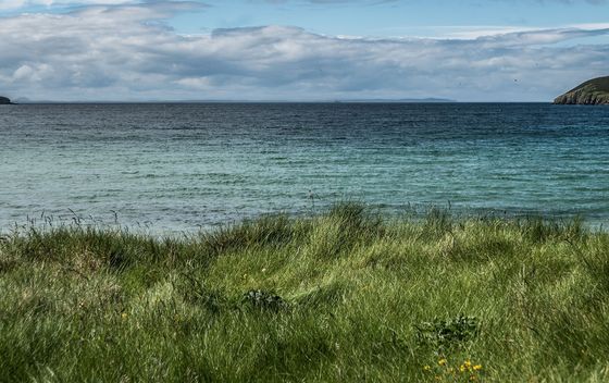 Ronaldsay - 2