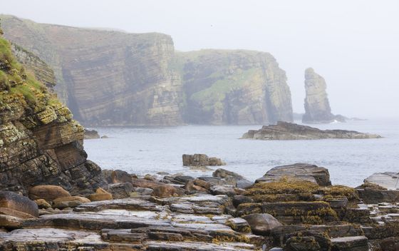 Ronaldsay - 4