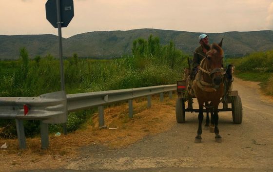 Albanija - Zaprežna kola