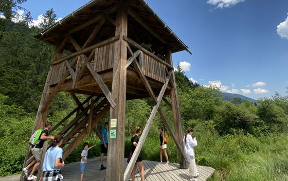 Prirodni rezervat Zelenci - 6