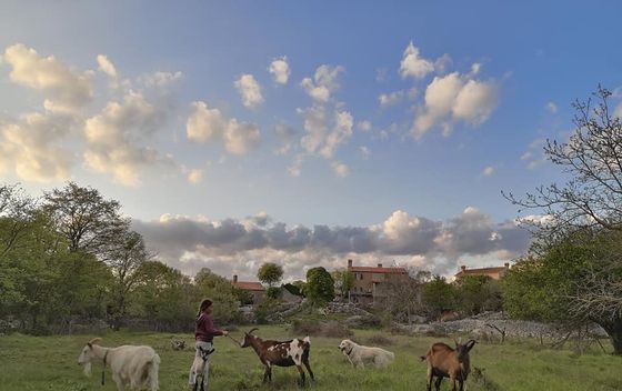 Art Farm Filozići, Cres - 8