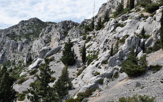 Francuska cesta - 13