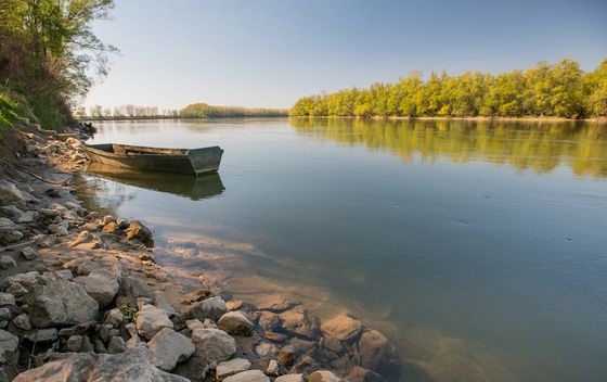 Drava