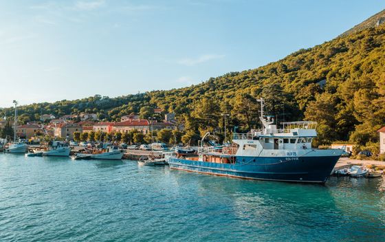 Plomin Luka