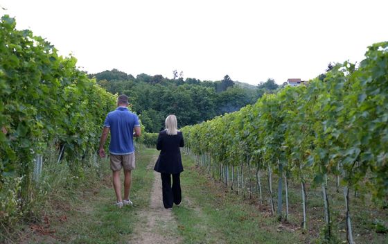 Coolturist - Ivanić Grad - 1