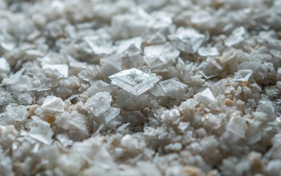 Blackthorn morska sol iz Škotske - 1