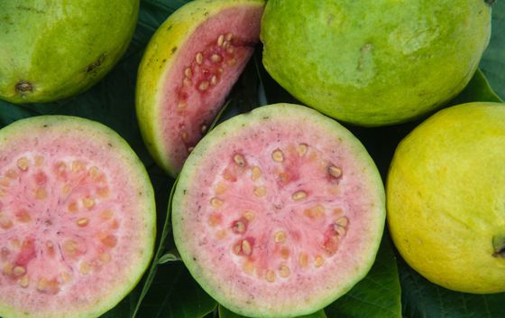 Tropsko voće guava