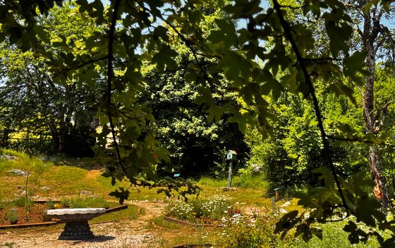 Pećinski park Grabovača - 15