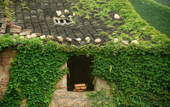Houtouwan, Kina - 5