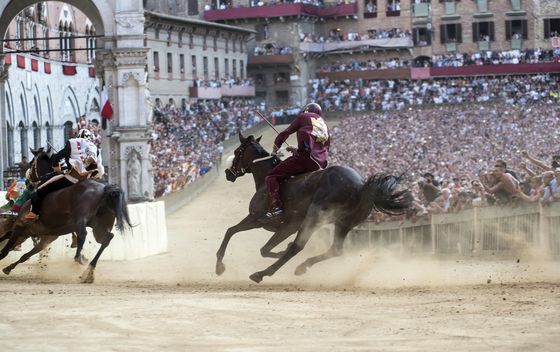 Palio - 5