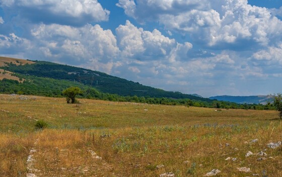 Ovčji most - 2