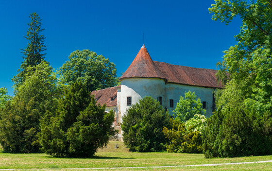Dvorac Erdödy - 1
