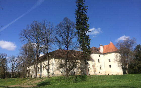 Dvorac Erdödy - 5