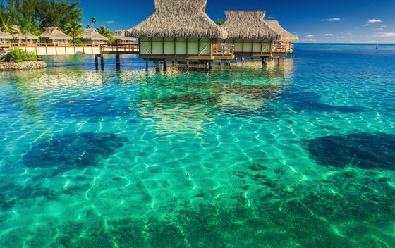 Maldivi
