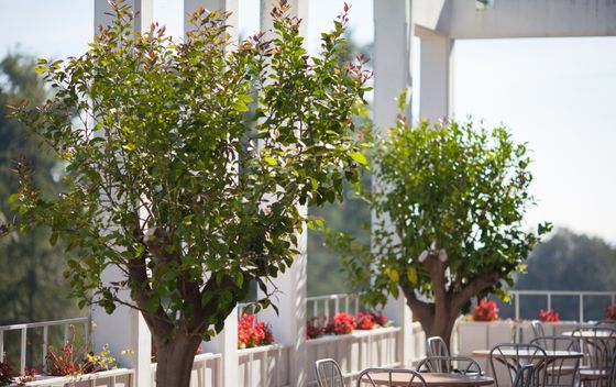 Resort Duga Uvala - 4