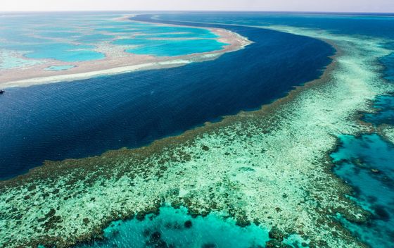 Veliki koraljni greben - 2