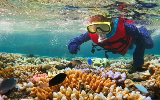 Veliki koraljni greben - 3