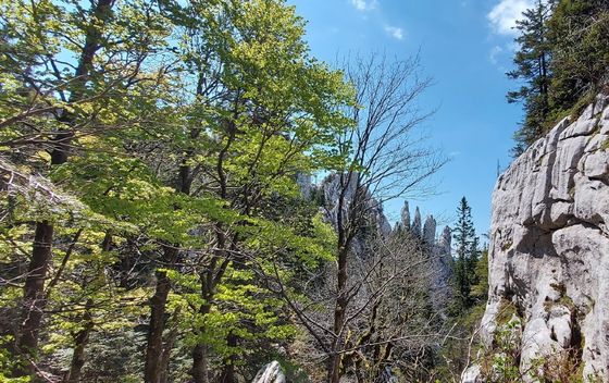 Dunja na Vihorsškom putu - 2