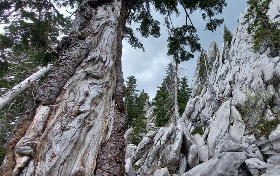 Dunja na Vihorsškom putu - 3