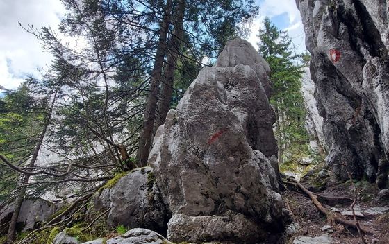 Dunja na Vihorsškom putu - 4