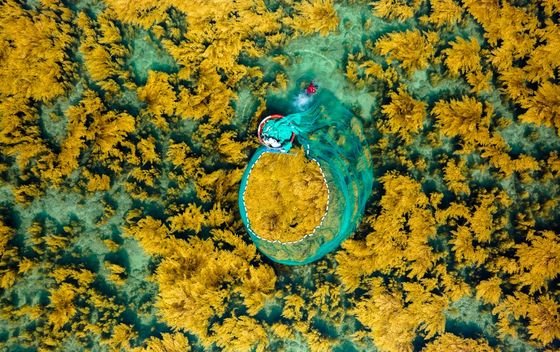 Bacanje ribarskih mreža u Vijetnamu - 3