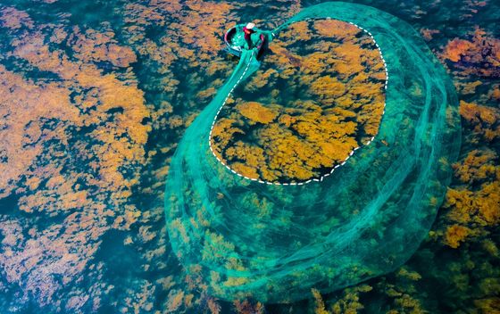 Bacanje ribarskih mreža u Vijetnamu - 4
