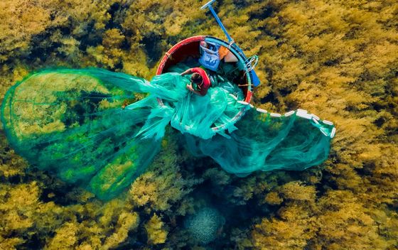Bacanje ribarskih mreža u Vijetnamu - 5