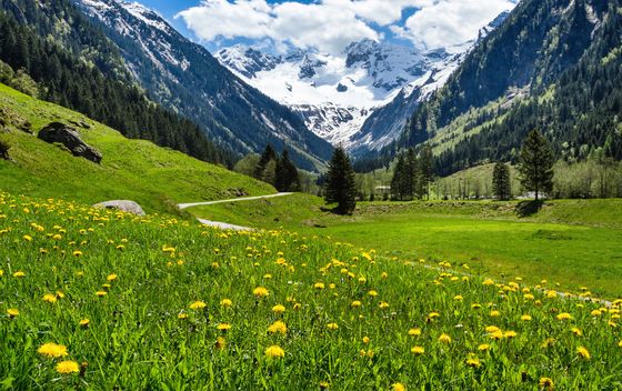 Austrija