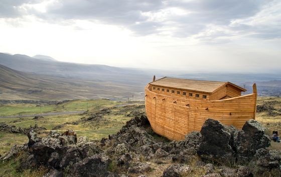 Noina Arka/Ilustracija