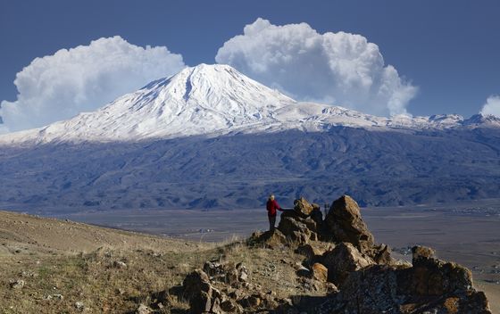 Ararat