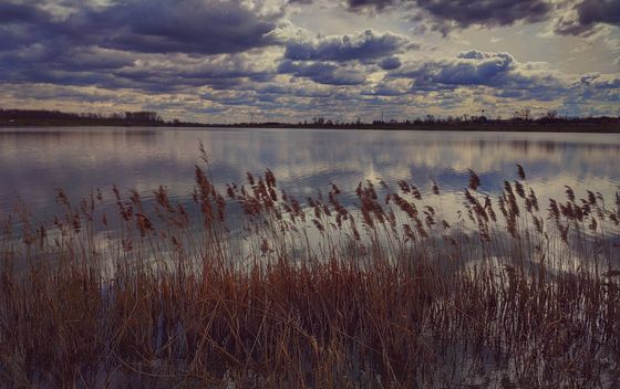 Jezero Ontario u Lučkom