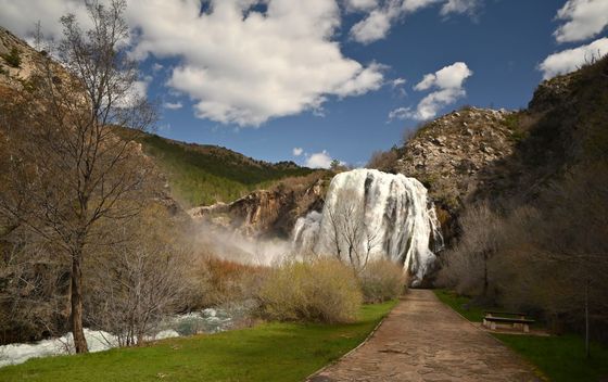 Topoljski buk na Krčiću