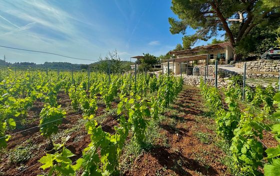 Vinarija Jovanov - 35