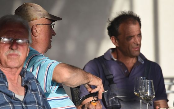 Vinarija Jovanov - 37