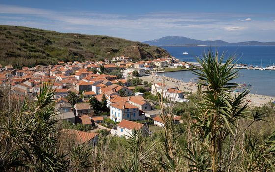 Susak - 1